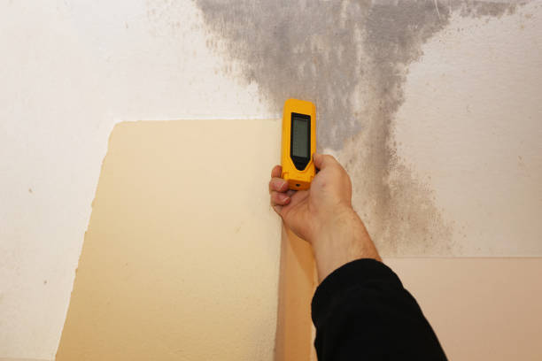 Best Residential Mold Inspection & Testing  in Lumberton, TX