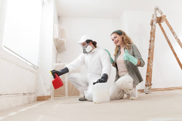 Environmental Consulting for Mold Prevention in Lumberton, TX